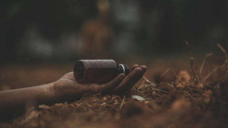 https://salarnews.in/public/uploads/images/newsimages/maannewsimage15092025_214928_Web 728x410 (31).png